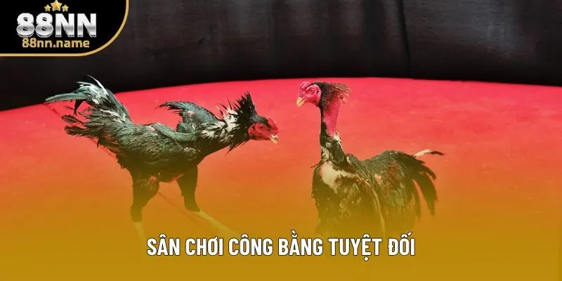 Sân chơi công bằng tuyệt đối