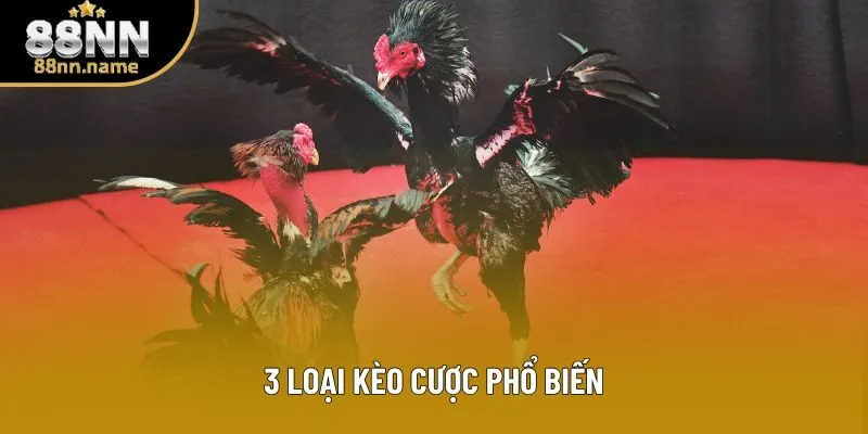 3 loại kèo cược phổ biến