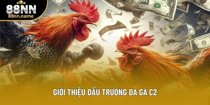 Giới thiệu đấu trường đá gà C2