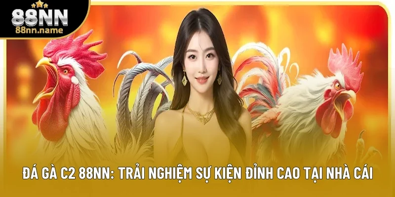 Đá Gà C2 88NN: Trải Nghiệm Sự Kiện Đỉnh Cao Tại Nhà Cái