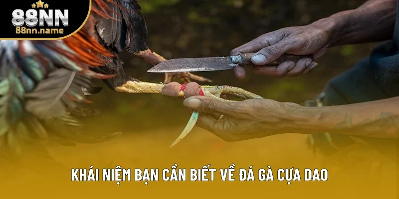Khái niệm bạn nên biết về đá gà cựa dao