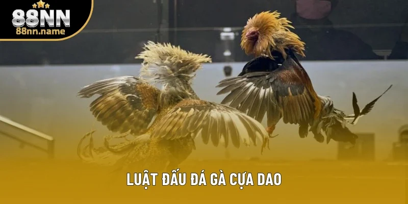 Chi tiết về luật lệ của loại hình cựa dao